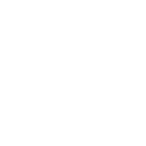 Vue filaire du bipied ARCA PGM Précision