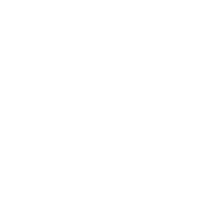 Vue filaire de la détente qualité Match du PGM Ultima Ratio