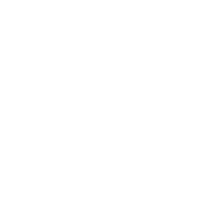 Vue filaire du garde main avec rail ARCA intégré de l'Ultima Ratio