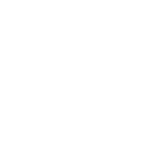 Vue filaire des canons commando de la Mini Hécate II