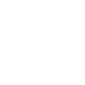 Vue filaire de la détente qualité Match du fusil de précision PGM Mini Hécate II