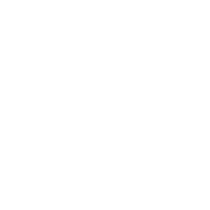 View of bipod with PGM quick mount system on a ludis