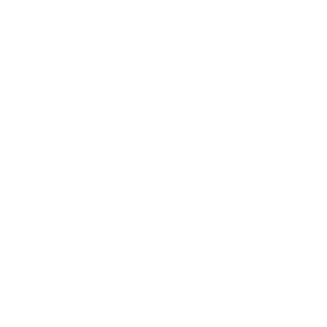 Illustration des canons du PGM 338