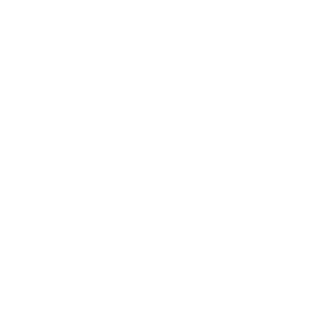 Vue filaire du canon qualité match du PGM Hécate II