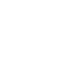 View of the PGM Ludis rifle chamber