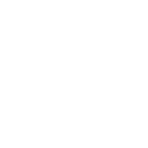 Illustration de la crosse du PGM 338