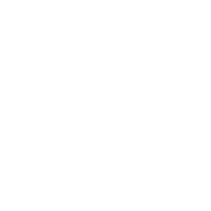 View of the trigger from the PGM Ludis