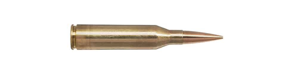 Munition de calibre 300 Norma Magnum