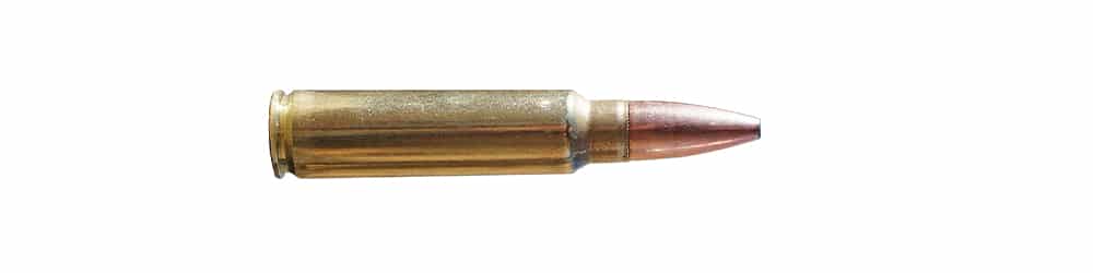 Munition de calibre 300 Savage